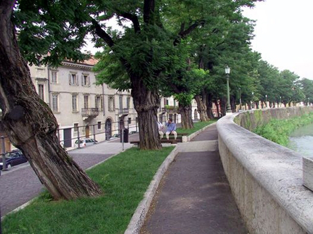 in bicicletta lungo l'Adige